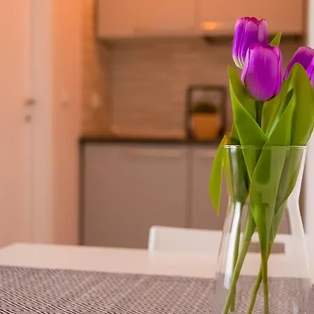 Appartement Yhome | Gulli's Palace